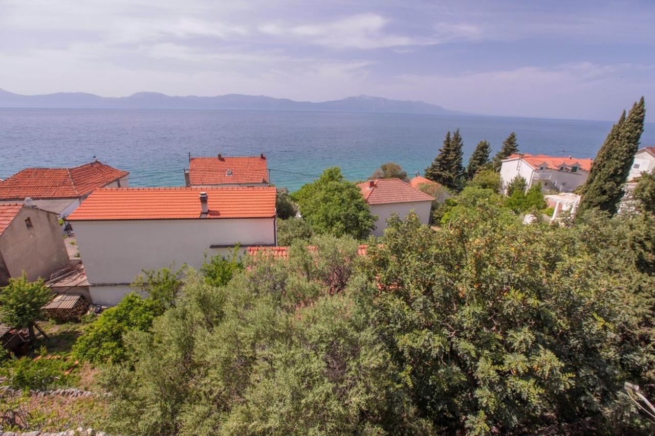 Alexa Apartment Brist